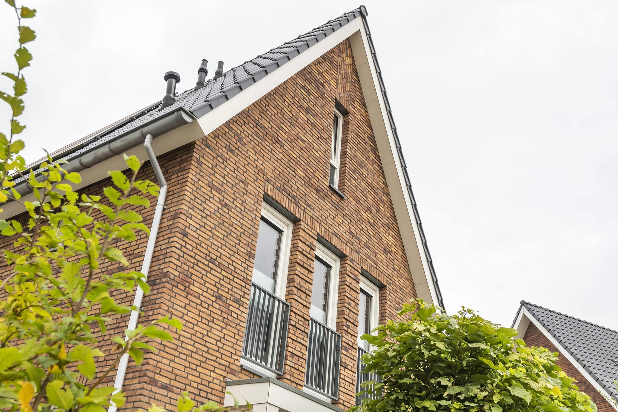 ZN106081-3327-Watersnip-2,-Maurik-200187757