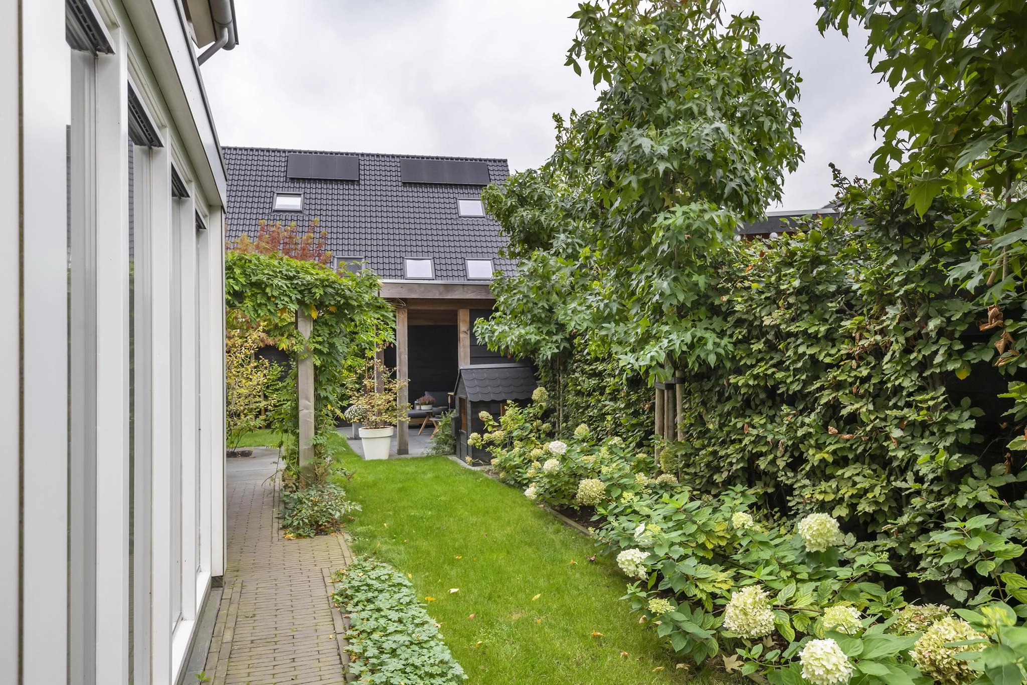 ZN106081-3327-Watersnip-2,-Maurik-200187843