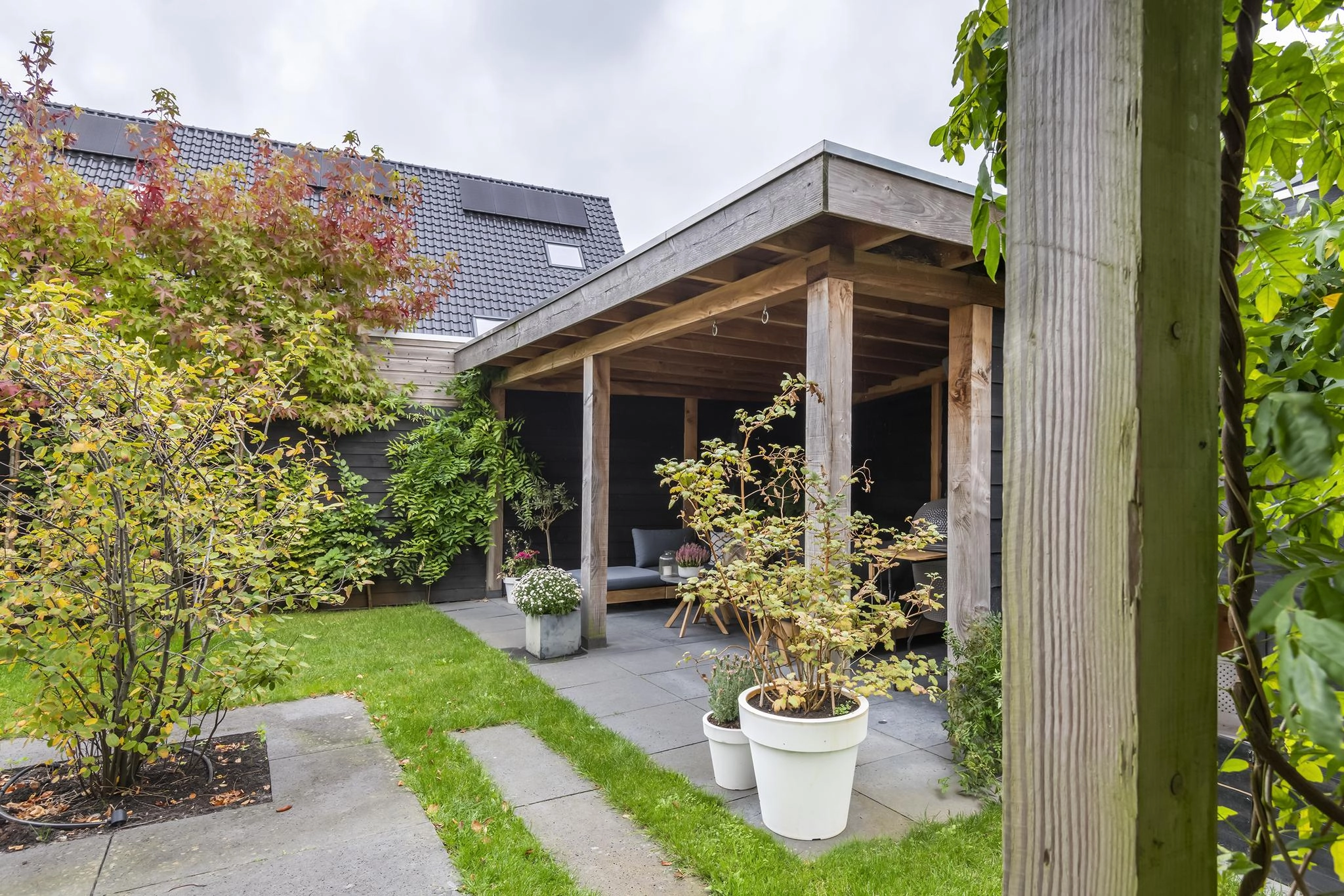 ZN106081-3327-Watersnip-2,-Maurik-200187859