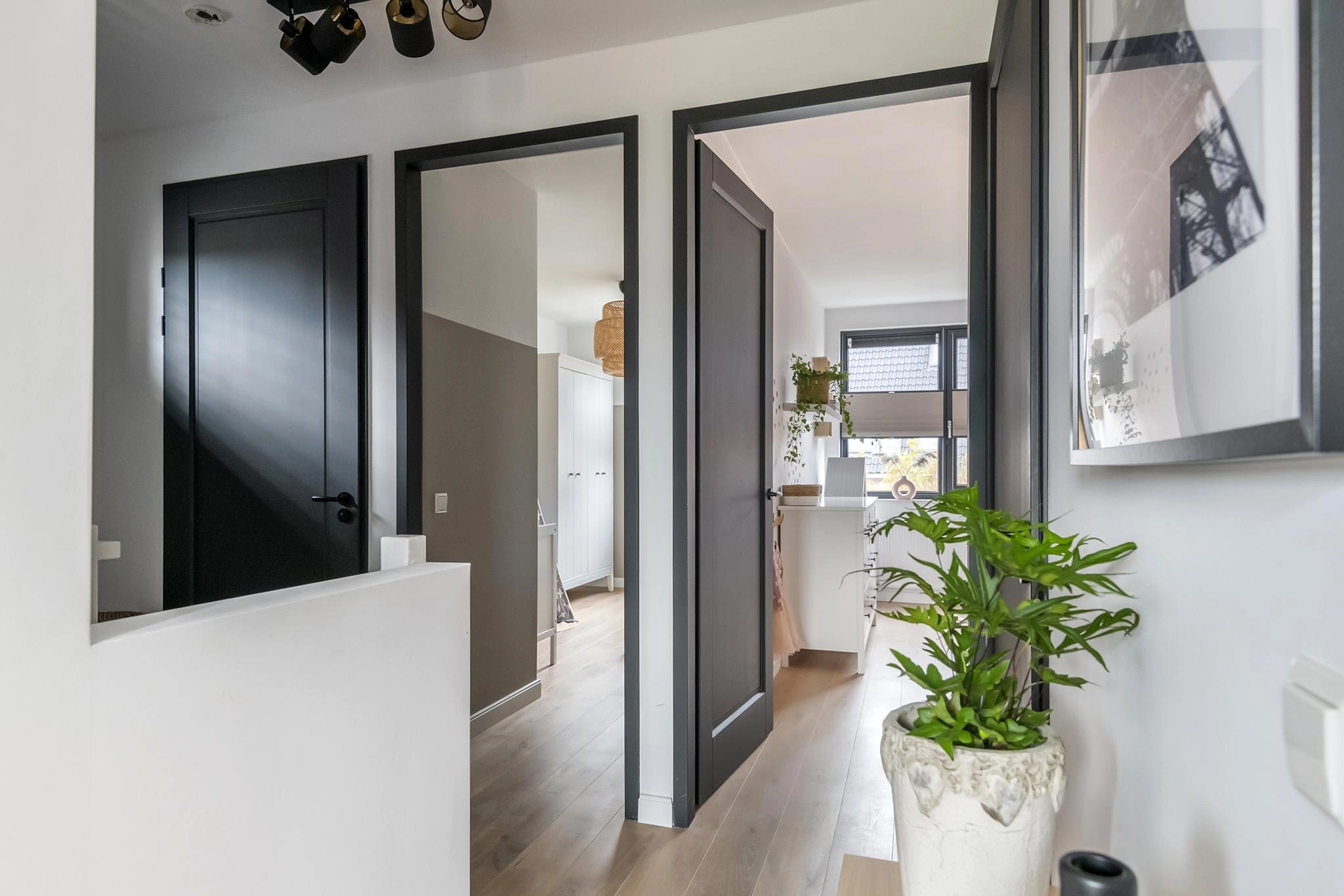 ZN106081-3327-Watersnip-2,-Maurik-200188603