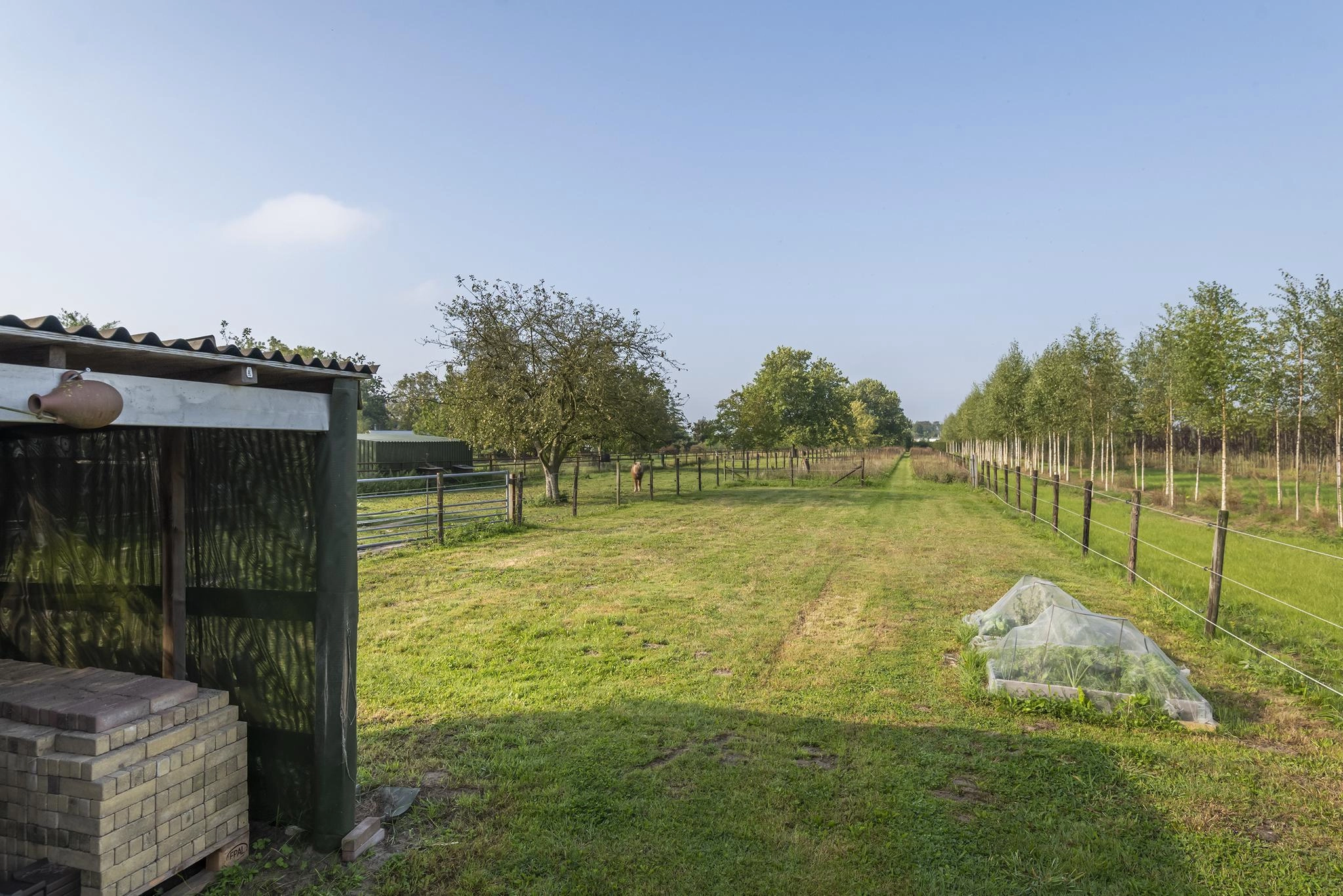 ZN106084-3503-Luchtenburg-62,-Ingen-199962647