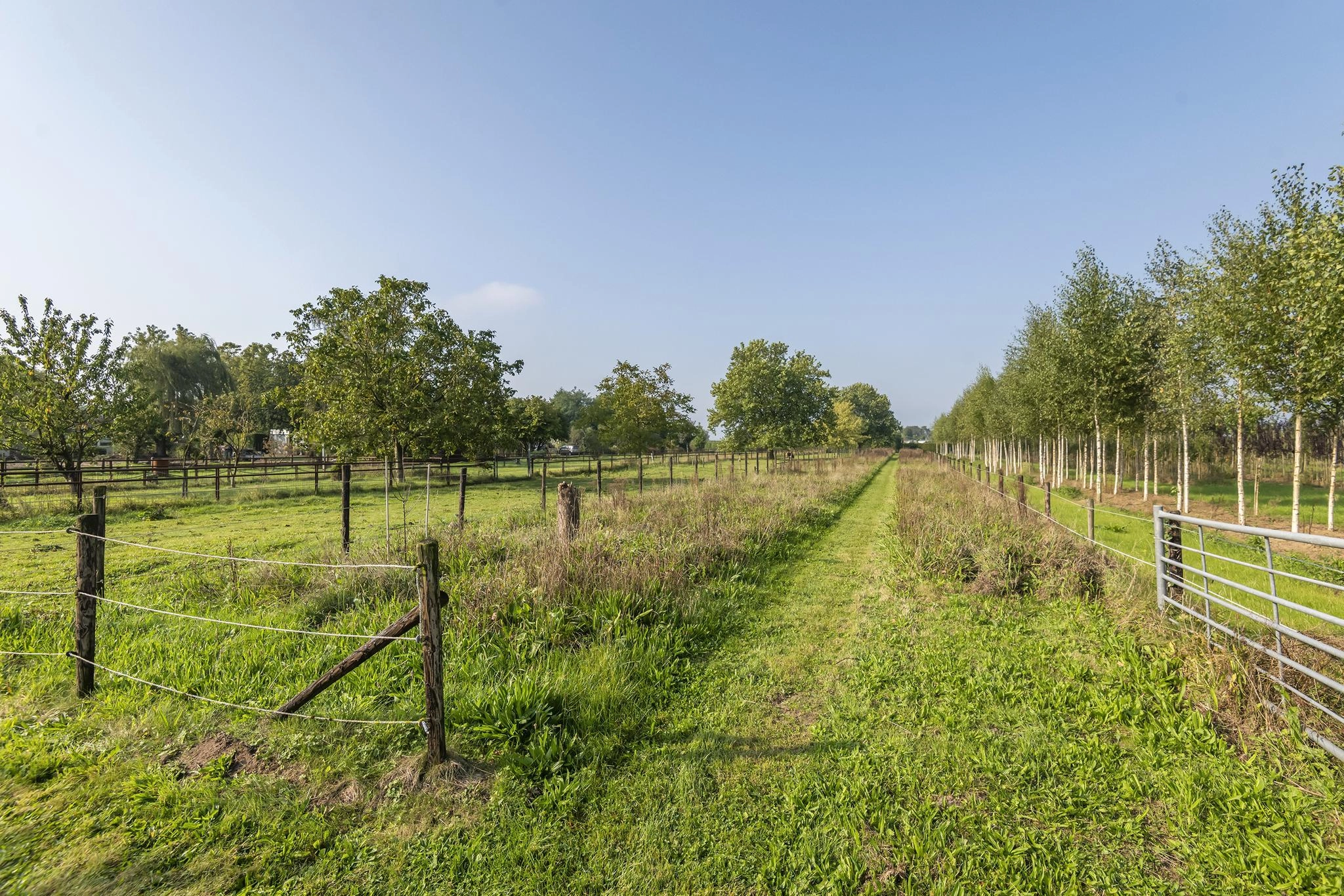 ZN106084-3503-Luchtenburg-62,-Ingen-199962649