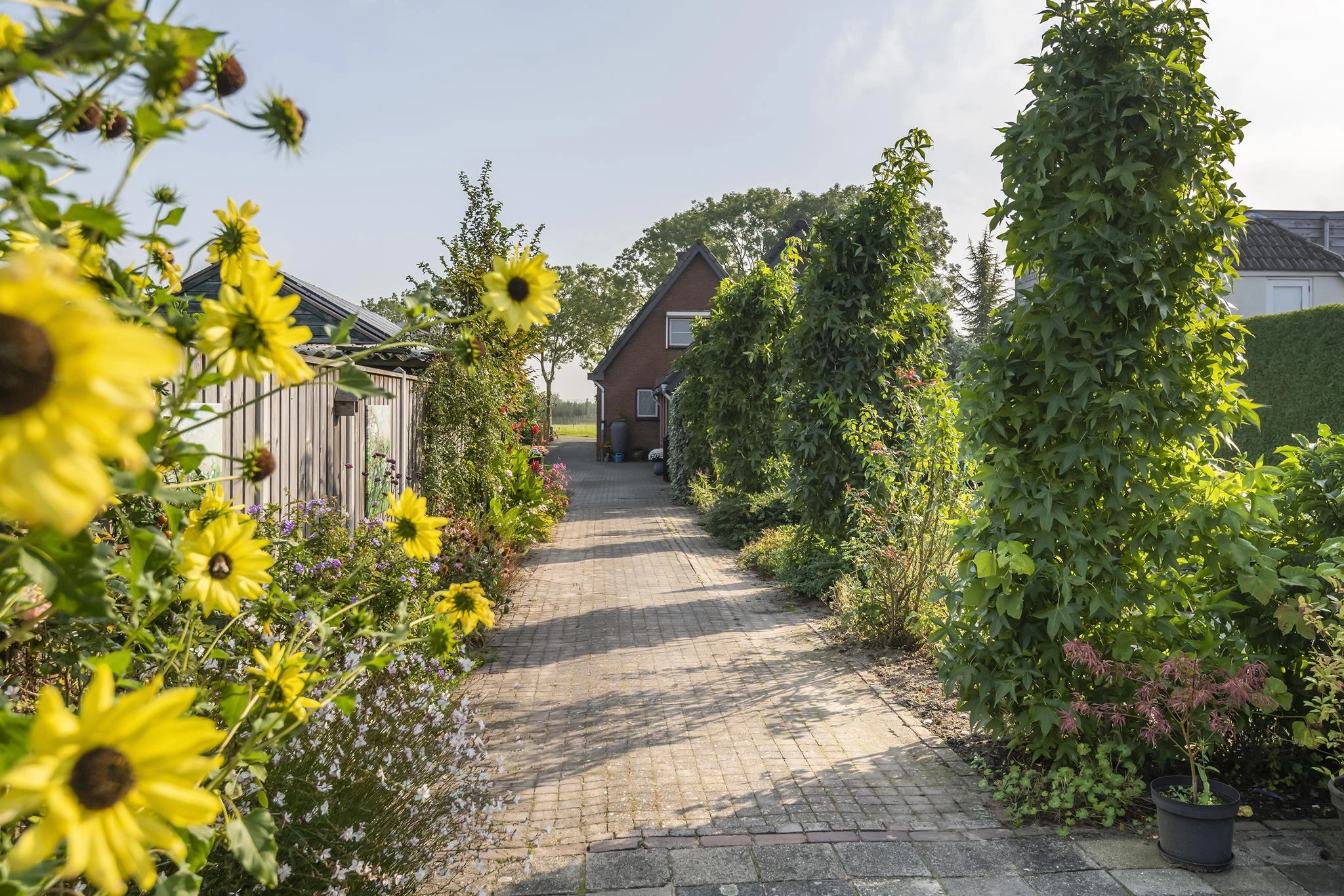 ZN106084-3503-Luchtenburg-62,-Ingen-199962657