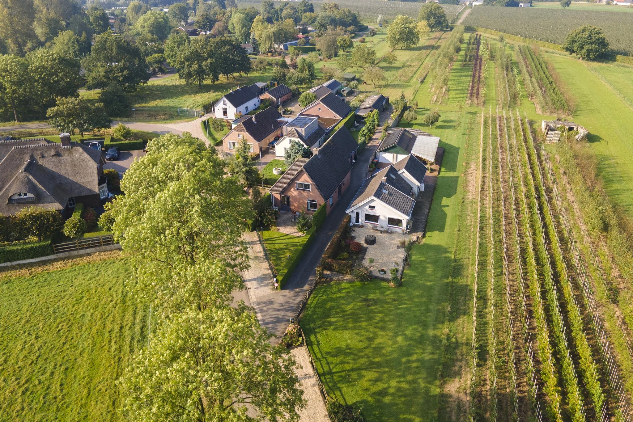 ZN106084-3503-Luchtenburg-62,-Ingen-199962765