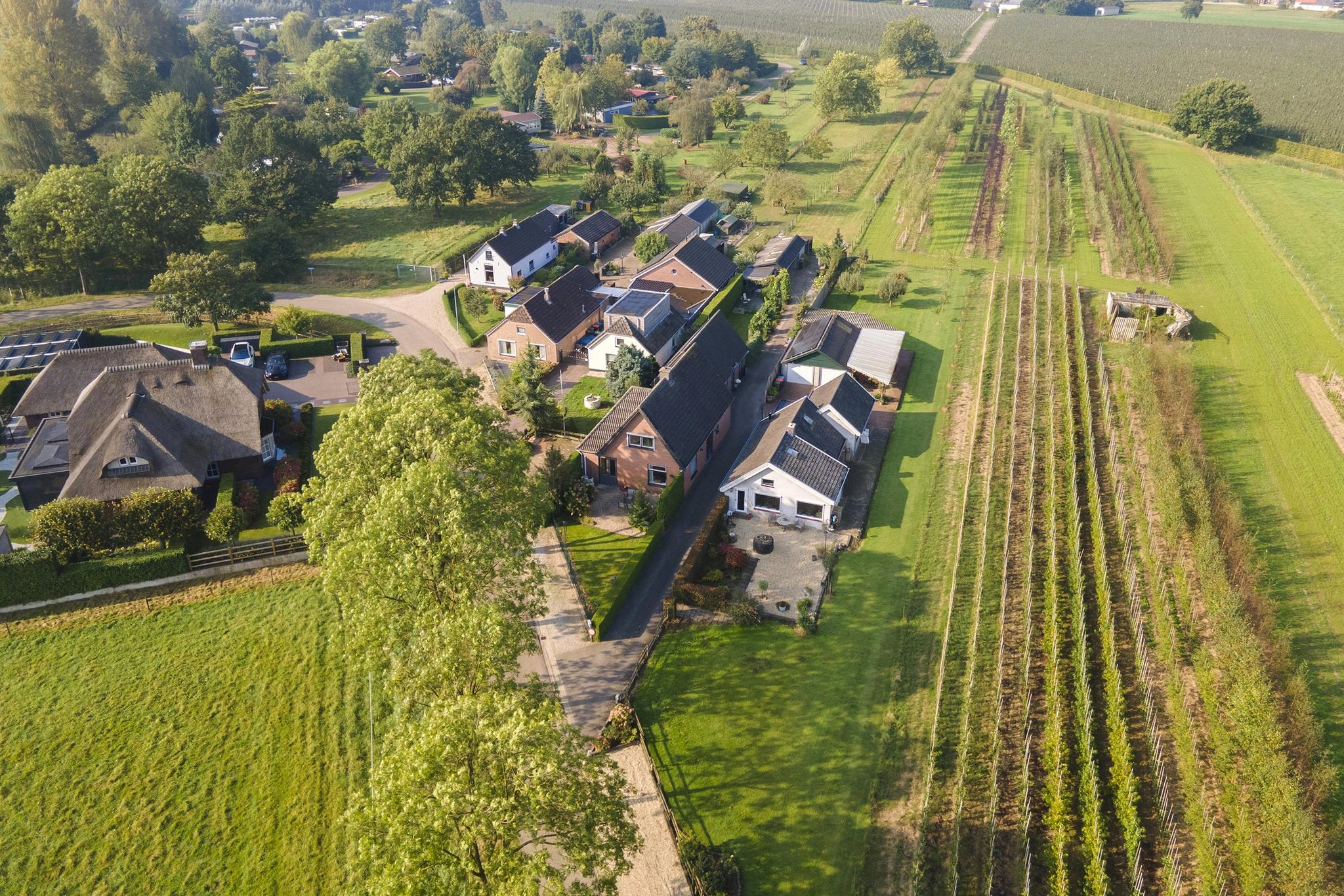 ZN106084-3503-Luchtenburg-62,-Ingen-199962767